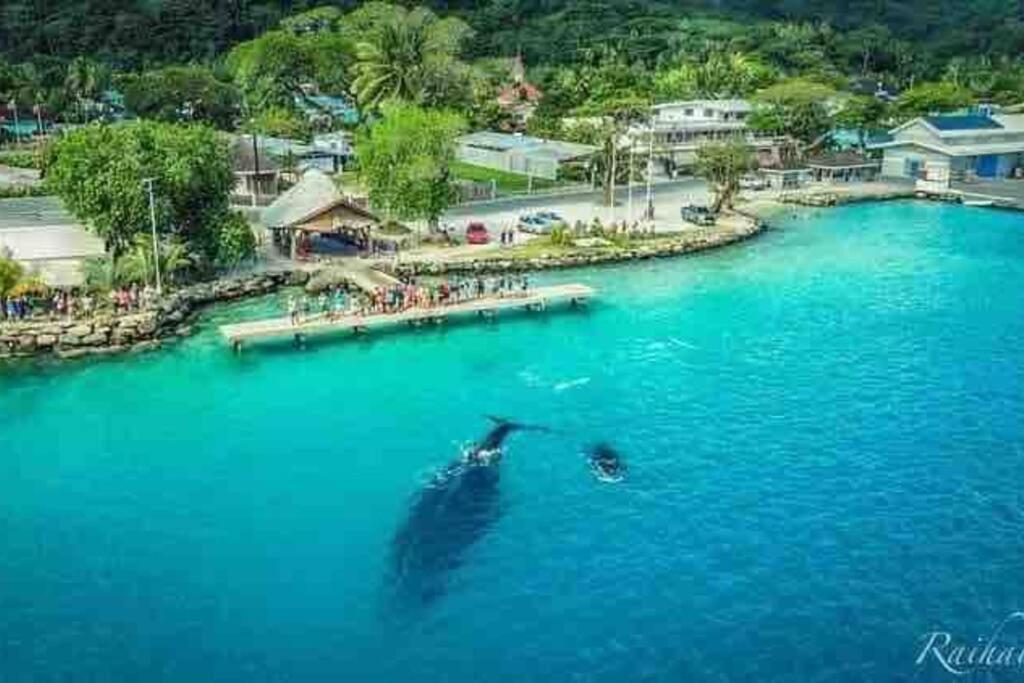 Meri Lodge Huahine Fare Eksteriør bilde